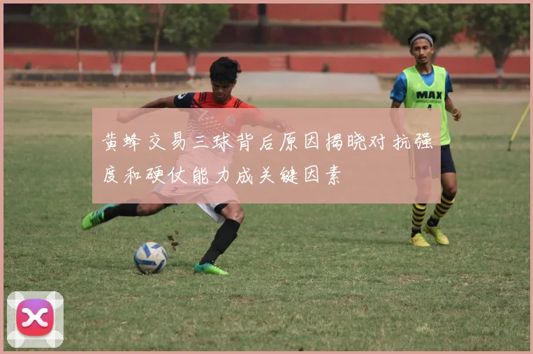 黄蜂交易三球背后原因揭晓对抗强度和硬仗能力成关键因素